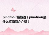 pinotnoir葡萄酒（pinotnoir是什么紅酒簡介介紹）