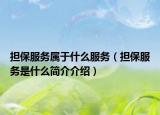擔(dān)保服務(wù)屬于什么服務(wù)（擔(dān)保服務(wù)是什么簡(jiǎn)介介紹）
