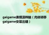 galgame瀛樻澶辮觸（肉體轉移galgame安裝出錯）