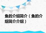 魚的介紹簡介（魚的介紹簡介介紹）