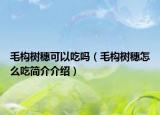 毛構(gòu)樹(shù)穗可以吃嗎（毛構(gòu)樹(shù)穗怎么吃簡(jiǎn)介介紹）