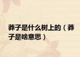 莽子是什么樹上的（莽子是啥意思）