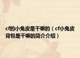 cf的小兔皮是干嘛的（cf小兔皮背包是干嘛的簡介介紹）