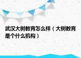 武漢大樹教育怎么樣（大樹教育是個(gè)什么機(jī)構(gòu)）