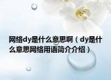 網(wǎng)絡(luò)dy是什么意思?。╠y是什么意思網(wǎng)絡(luò)用語(yǔ)簡(jiǎn)介介紹）