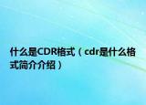 什么是CDR格式（cdr是什么格式簡介介紹）