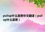 pullup什么意思中文翻譯（pullup什么意思）