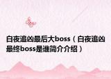 白夜追兇最后大boss（白夜追兇最終boss是誰(shuí)簡(jiǎn)介介紹）