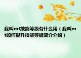 我叫mt技能等級(jí)有什么用（我叫mt如何提升技能等級(jí)簡(jiǎn)介介紹）