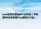imei在手機系統(tǒng)哪個文件里（手機里IM文件夾有什么用簡介介紹）