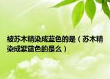 被蘇木精染成藍(lán)色的是（蘇木精染成紫藍(lán)色的是么）