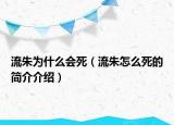 流朱為什么會(huì)死（流朱怎么死的簡介介紹）