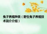 兔子養(yǎng)殖種類（野生兔子養(yǎng)殖技術(shù)簡介介紹）