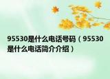 95530是什么電話號(hào)碼（95530是什么電話簡(jiǎn)介介紹）
