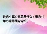 誰(shuí)言寸草心意思是什么（誰(shuí)言寸草心意思簡(jiǎn)介介紹）