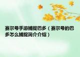 賽爾號手游捕捉巴多（賽爾號的巴多怎么捕捉簡介介紹）