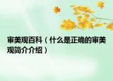 審美觀百科（什么是正確的審美觀簡(jiǎn)介介紹）