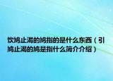飲鳩止渴的鳩指的是什么東西（引鳩止渴的鳩是指什么簡介介紹）