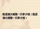 陽澄湖大閘蟹一只多少錢（陽澄湖大閘蟹一只多少錢）
