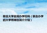 聯(lián)合大學(xué)是民辦學(xué)校嗎（聯(lián)合辦學(xué)的大學(xué)有哪些簡(jiǎn)介介紹）