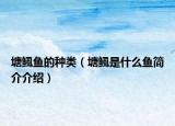 塘鲺魚(yú)的種類（塘鲺是什么魚(yú)簡(jiǎn)介介紹）