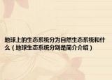 地球上的生態(tài)系統(tǒng)分為自然生態(tài)系統(tǒng)和什么（地球生態(tài)系統(tǒng)分別是簡介介紹）
