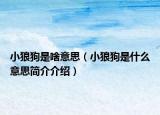 小狼狗是啥意思（小狼狗是什么意思簡介介紹）