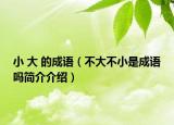 小 大 的成語（不大不小是成語嗎簡介介紹）