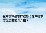 花草樹木是怎樣過冬（花草樹木怎么過冬簡(jiǎn)介介紹）