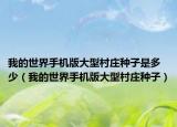 我的世界手機(jī)版大型村莊種子是多少（我的世界手機(jī)版大型村莊種子）