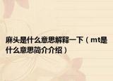 麻頭是什么意思解釋一下（mt是什么意思簡(jiǎn)介介紹）