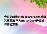 今日更新華為mate40pro怎么升級鴻蒙系統(tǒng) 華為mate40pro升級成鴻蒙的方法
