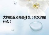 大概的近義詞是什么（反義詞是什么）