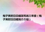 梅子黃時(shí)日日晴簡(jiǎn)筆畫三年級(jí)（梅子黃時(shí)日日晴簡(jiǎn)介介紹）