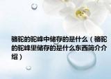 駱駝的駝峰中儲(chǔ)存的是什么（駱駝的駝峰里儲(chǔ)存的是什么東西簡(jiǎn)介介紹）