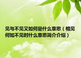 見與不見又如何是什么意思（相見何如不見時什么意思簡介介紹）