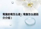 耄耋的耄怎么讀（耄耋怎么讀簡介介紹）