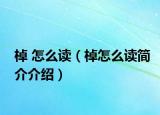 棹 怎么讀（棹怎么讀簡介介紹）