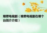 娘惹電視?。锶请娨晞≡谀膫€臺簡介介紹）