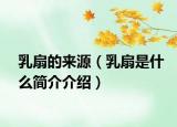 乳扇的來(lái)源（乳扇是什么簡(jiǎn)介介紹）