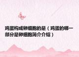 雞蛋構(gòu)成卵細胞的是（雞蛋的哪一部分是卵細胞簡介介紹）