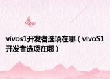 vivos1開發(fā)者選項(xiàng)在哪（vivoS1開發(fā)者選項(xiàng)在哪）