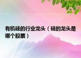 有機(jī)硅的行業(yè)龍頭（硅的龍頭是哪個(gè)股票）