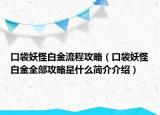 口袋妖怪白金流程攻略（口袋妖怪白金全部攻略是什么簡(jiǎn)介介紹）