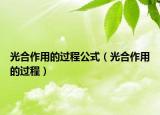 光合作用的過程公式（光合作用的過程）