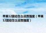 蘋果12震動怎么設(shè)置強度（蘋果12震動怎么設(shè)置強度）