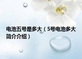 電池五號是多大（5號電池多大簡介介紹）