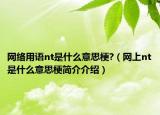 網(wǎng)絡(luò)用語nt是什么意思梗?（網(wǎng)上nt是什么意思梗簡介介紹）