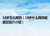 18歲怎么網(wǎng)貸（18歲什么網(wǎng)貸能通過簡介介紹）