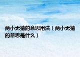 兩小無(wú)猜的意思用法（兩小無(wú)猜的意思是什么）